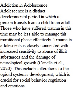 Addiction in Adolescence Assignment